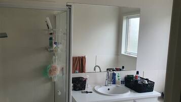 Shower, towels, soap, toilet paper