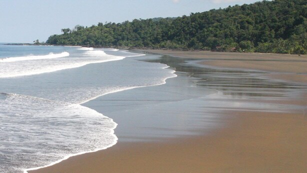 Una playa con olas suaves, una orilla arenosa y una ladera cubierta de bosque.