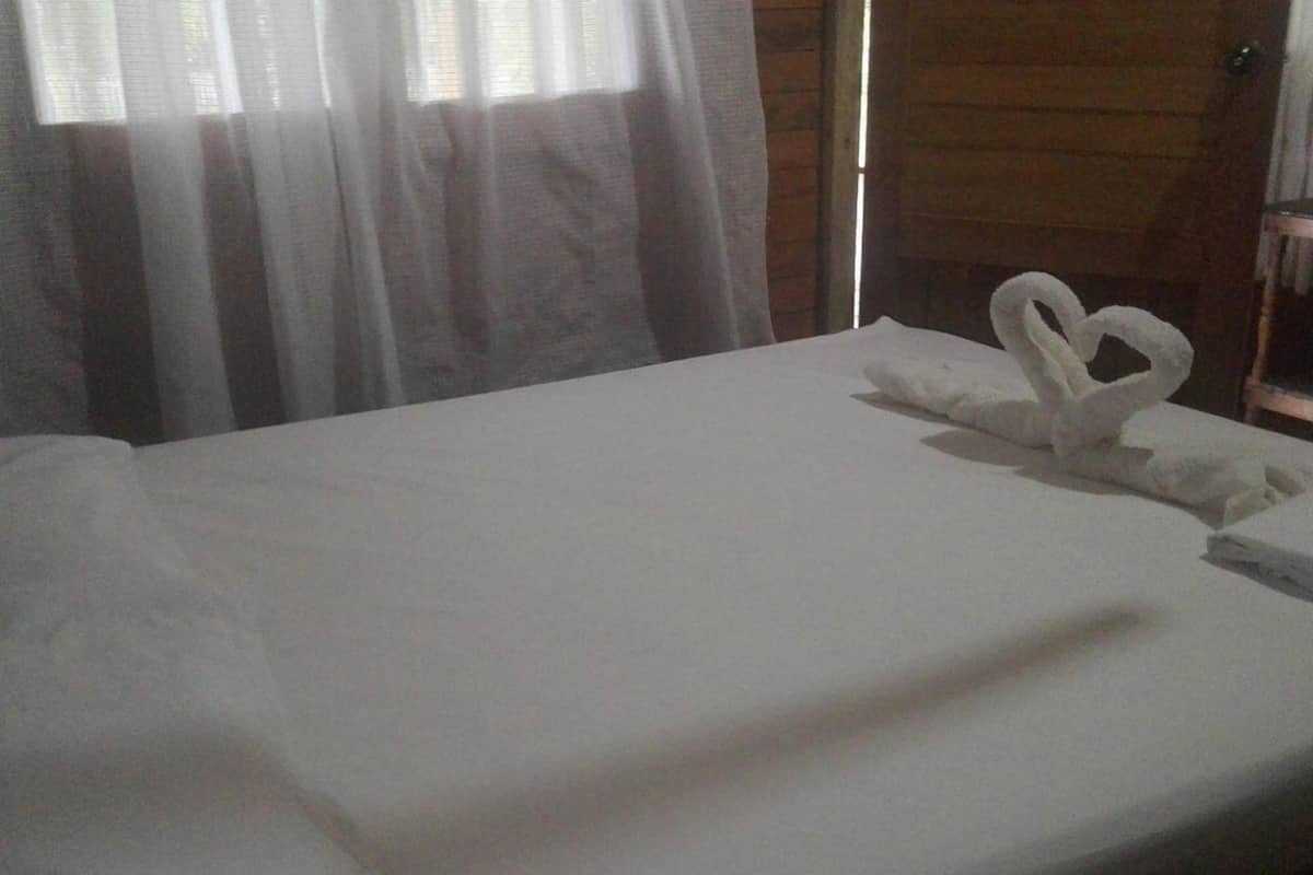 AccĂšs au Wi-Fi (inclus)