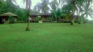 A grassy area with several thatched-roof huts surrounded by palm trees. - hotel don aí (Bahia Solano)