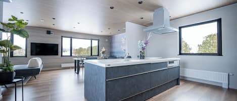 Fridge, microwave, stovetop, electric kettle