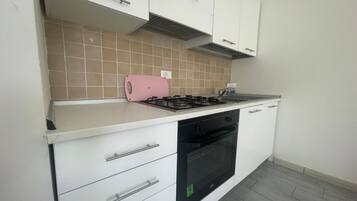 Fridge, oven, stovetop, cookware/dishes/utensils