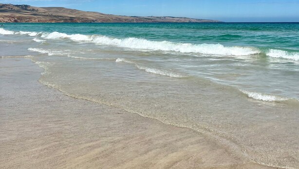 Une plage avec un ciel dégagé et des vagues douces.