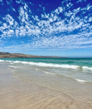 Une plage avec un ciel dégagé et des vagues douces.