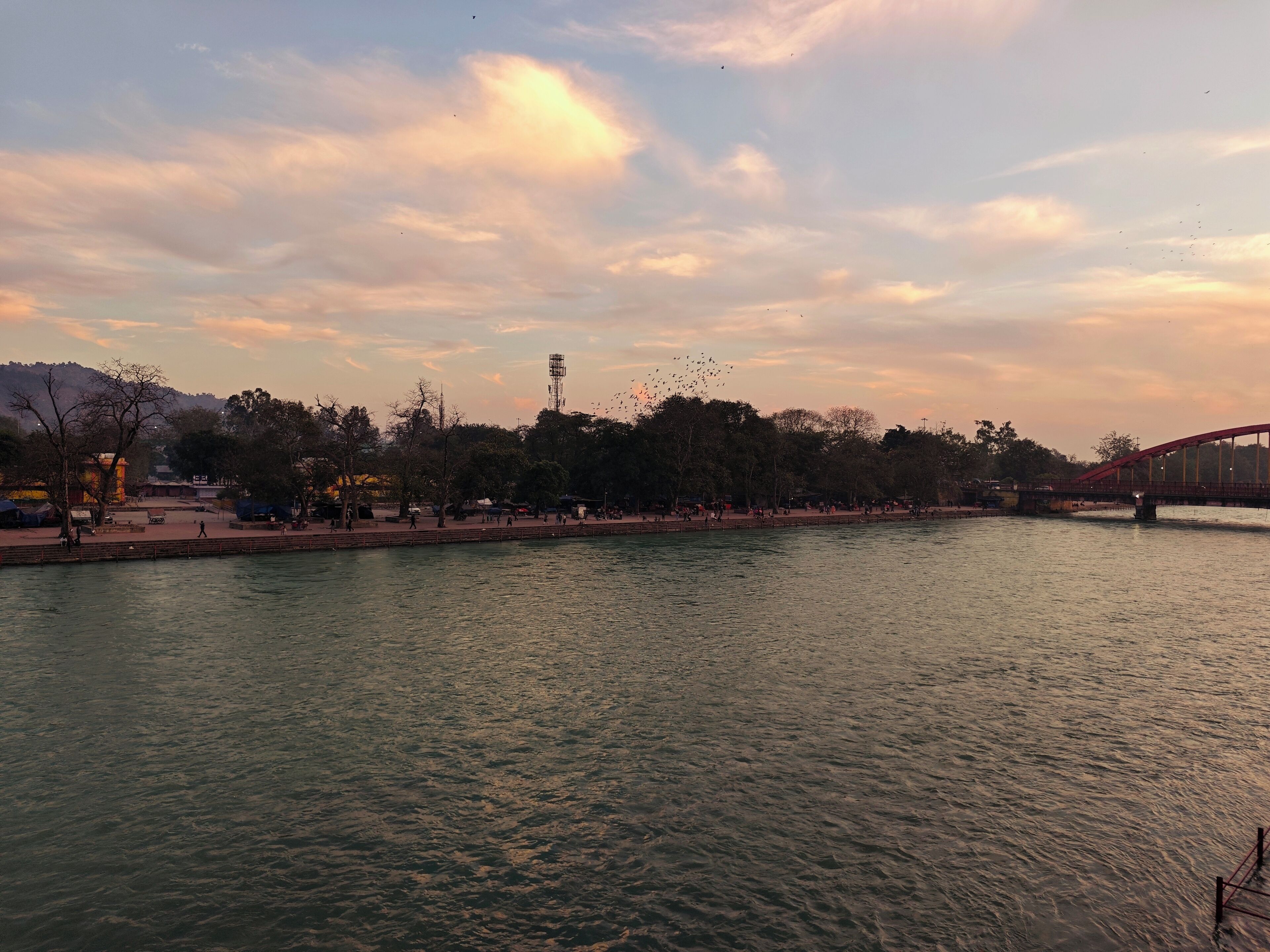 Une vue sur la rivière, avec un pont, des arbres et une tour qui se profile à l'horizon.