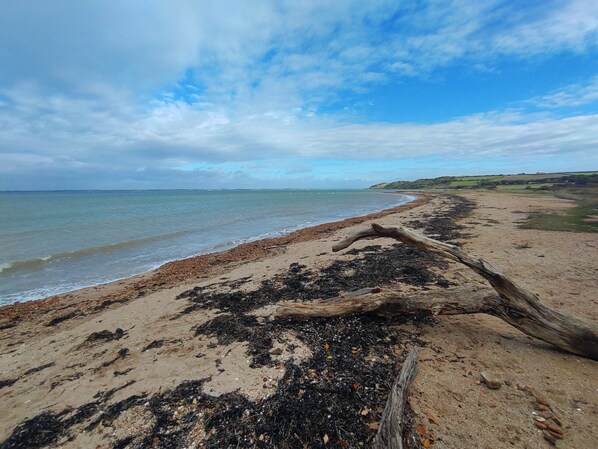 Une plage avec un arbre abattu au premier plan, une rive sablonneuse et une mer calme sous un ciel partiellement nuageux.
