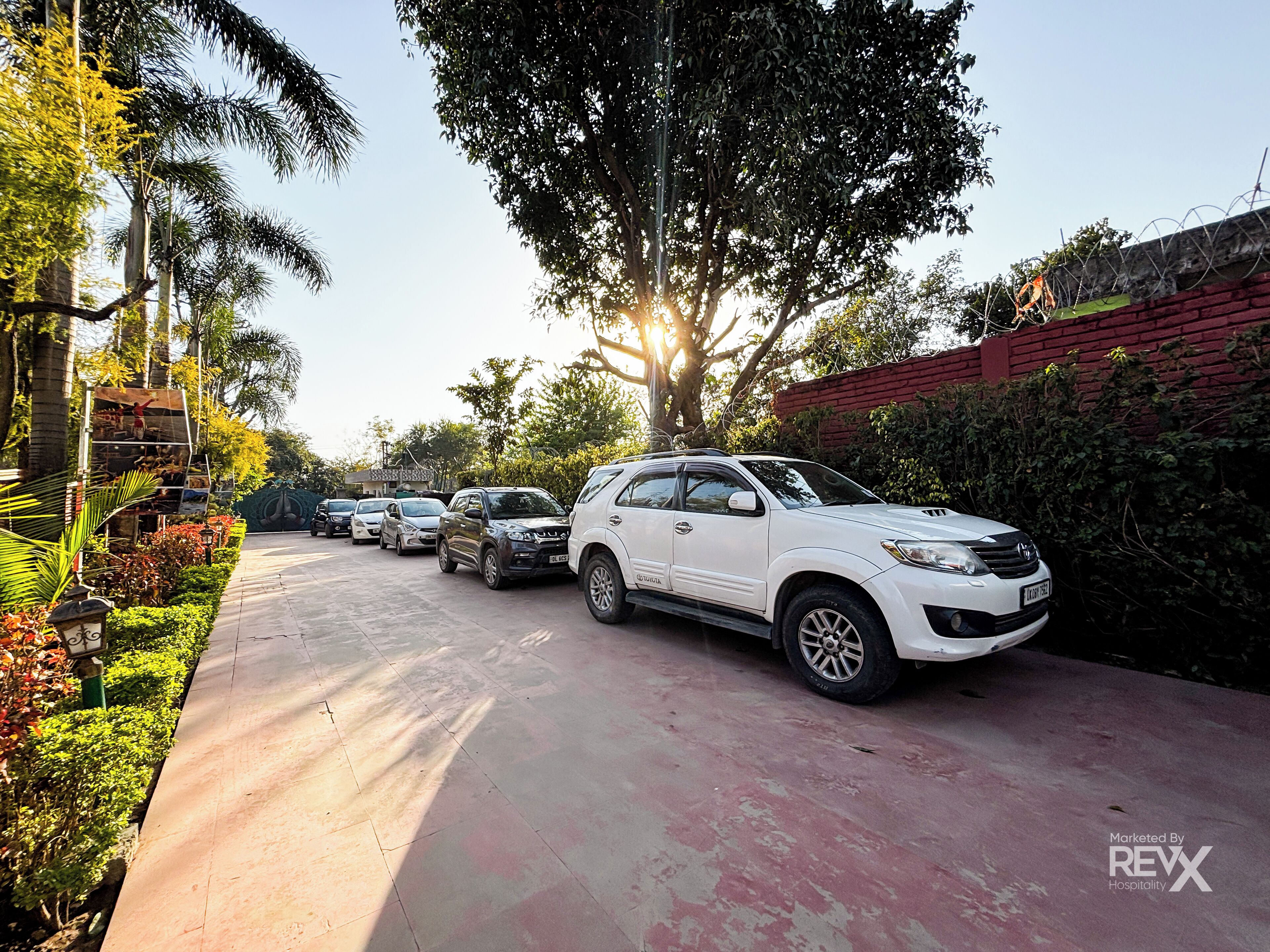 A row of parked cars along a paved road with a brick wall on one side and greenery on the other.