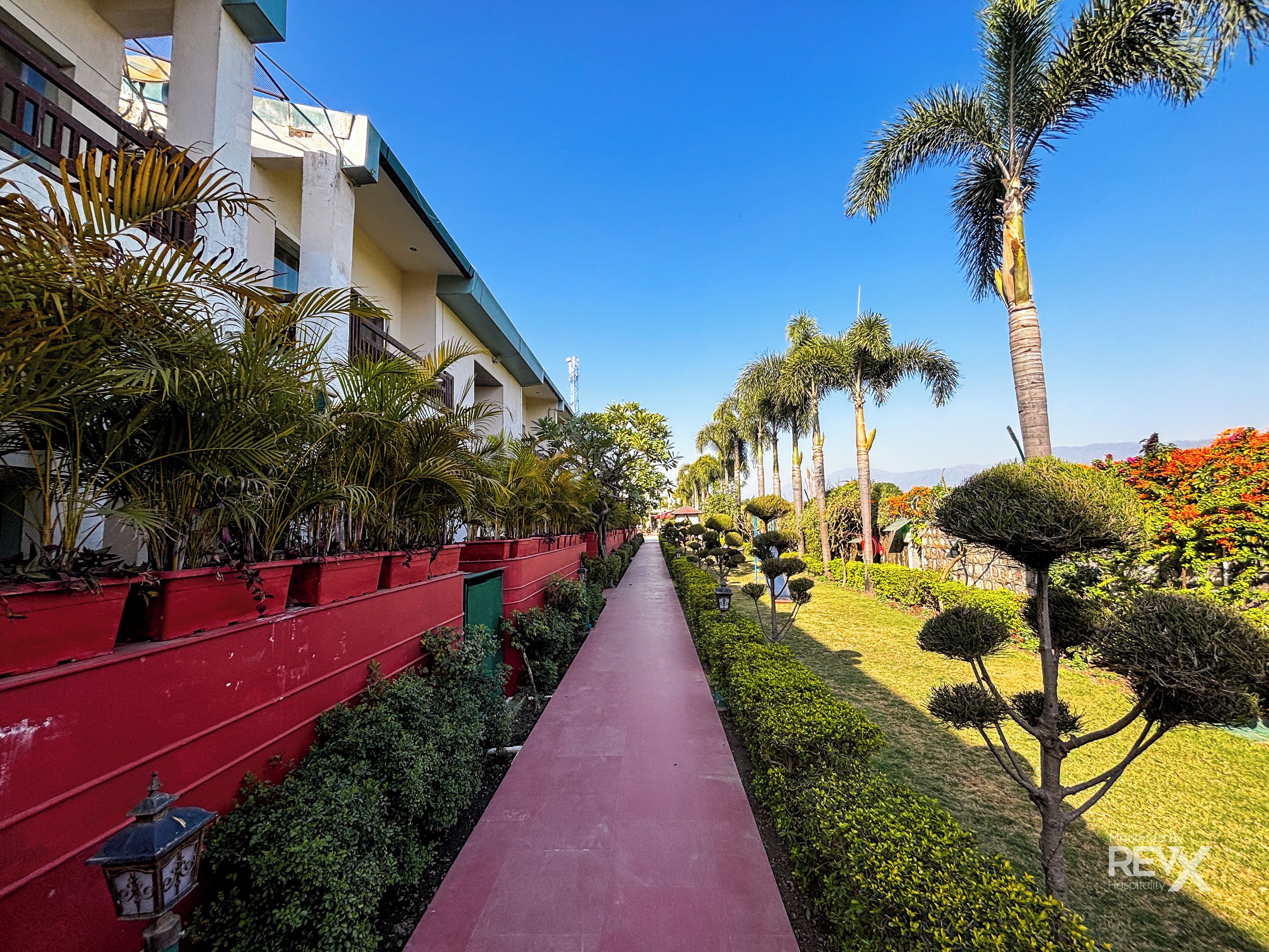 A pathway lined with red planters and palm trees, leading to a building with a white facade and balconies.