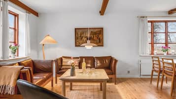 Télévision, cheminée, baby-foot