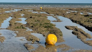 Uma praia com uma bóia amarela e pedras espalhadas.
