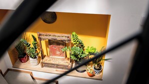 A small indoor garden with various potted plants and a wooden decorative piece. - Am Schloss Guest House (Brunico)