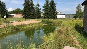 Un estanque rodeado de vegetación, una persona de pie junto al agua y edificios al fondo.