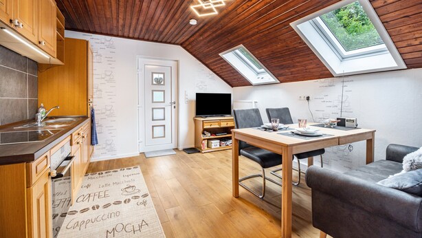 Een loft-achtige kamer met een keuken, eethoek en een televisie. Er zijn dakramen en een houten plafond.