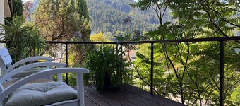 Appartamento 'Sonnige Im Kinzigtal' con vista sulle montagne, terrazza privata e Wi-Fi