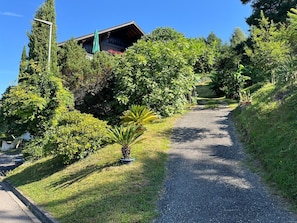 A gravel path leading to a building surrounded by lush greenery and trees.