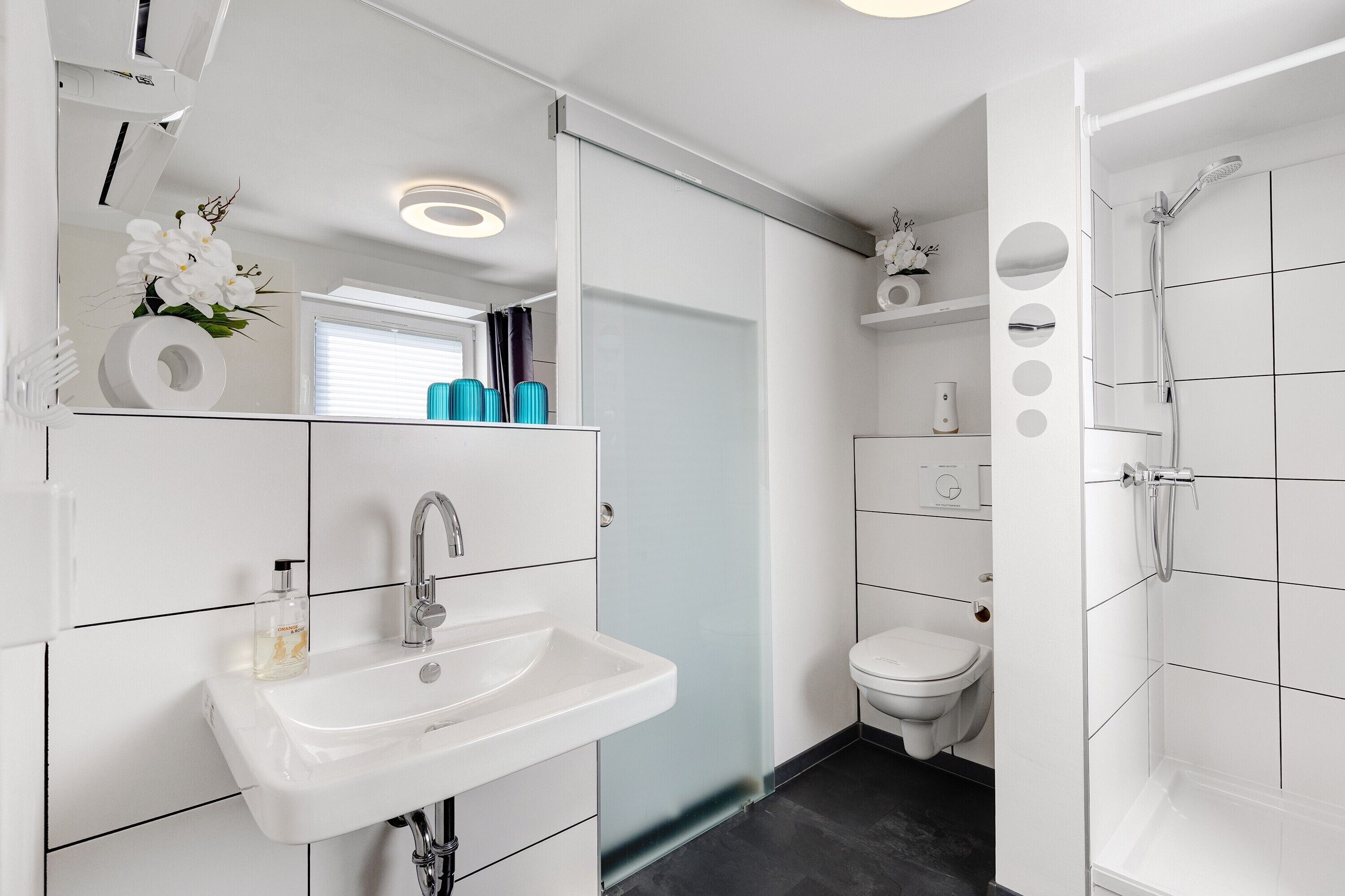 Shower, hair dryer, towels