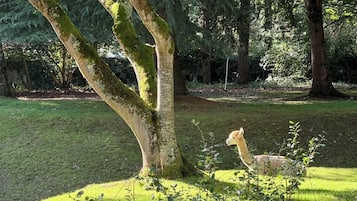 Enceinte de lâhĂ©bergement