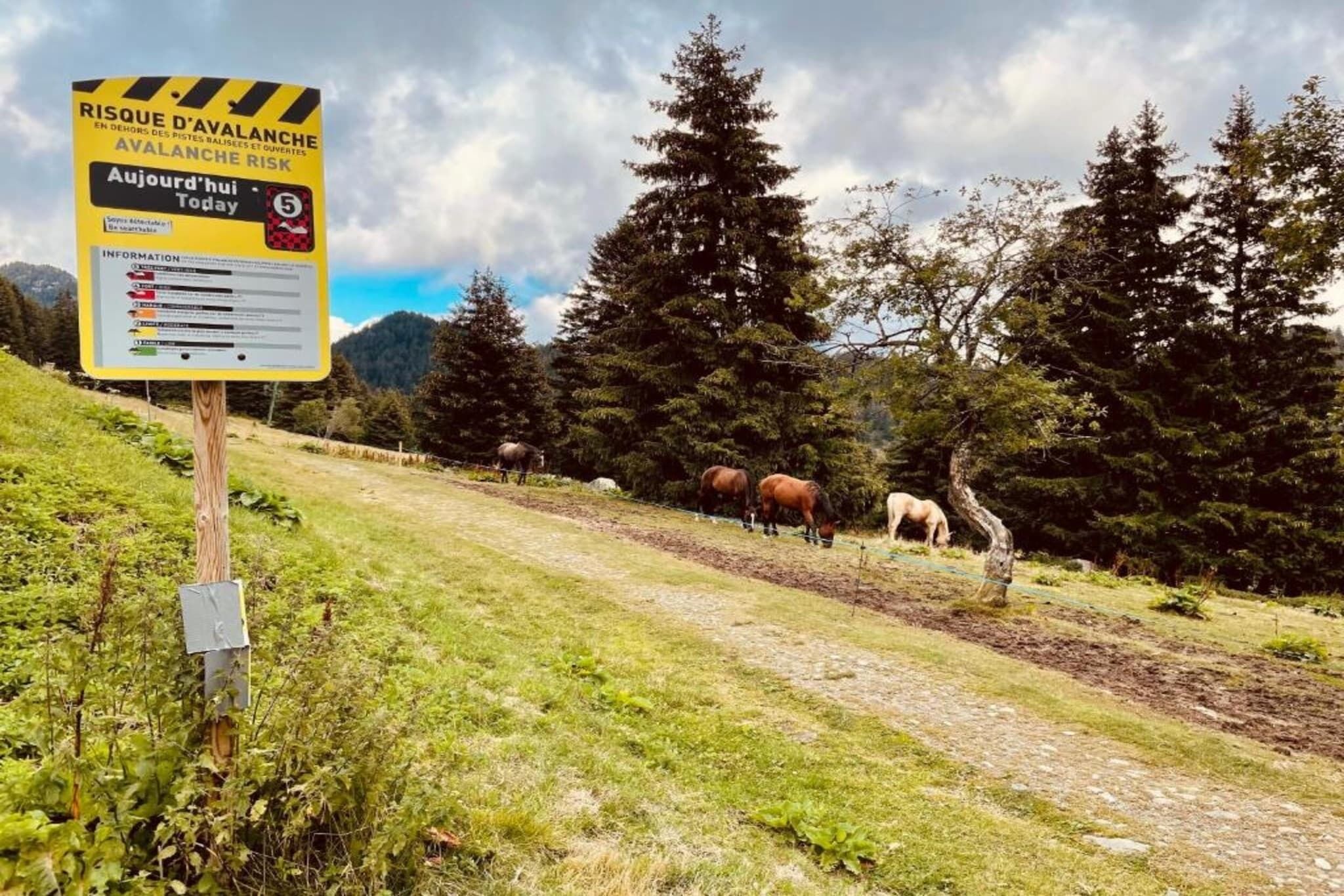 A sign warning of avalanche risk in a mountainous area with horses grazing nearby.