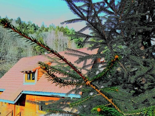 Domaine les lodges nature,private wellness, chalet de luxe en pleine nature