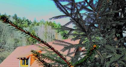 Domaine les lodges nature,private wellness, chalet de luxe en pleine nature