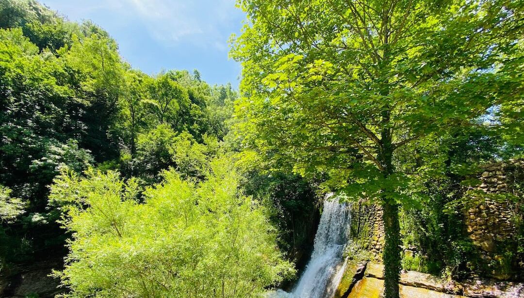 A waterfall surrounded by lush greenery and trees.