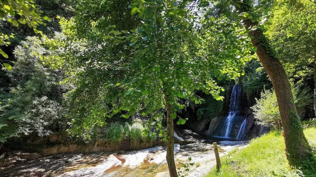 A natural landscape with a waterfall, dense greenery, and a clear stream.