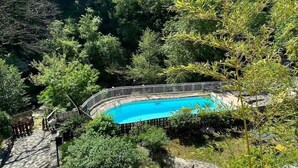 Una piscina rodeada de un bosque frondoso, con una terraza de madera y una valla blanca.