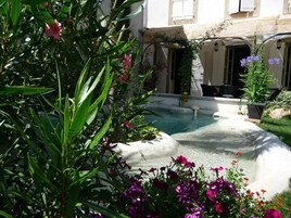 A courtyard with a swimming pool, surrounded by lush greenery and flowering plants.