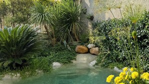 Un giardino tranquillo con un elemento d'acqua cristallina, circondato da vegetazione rigogliosa e un edificio in pietra.
