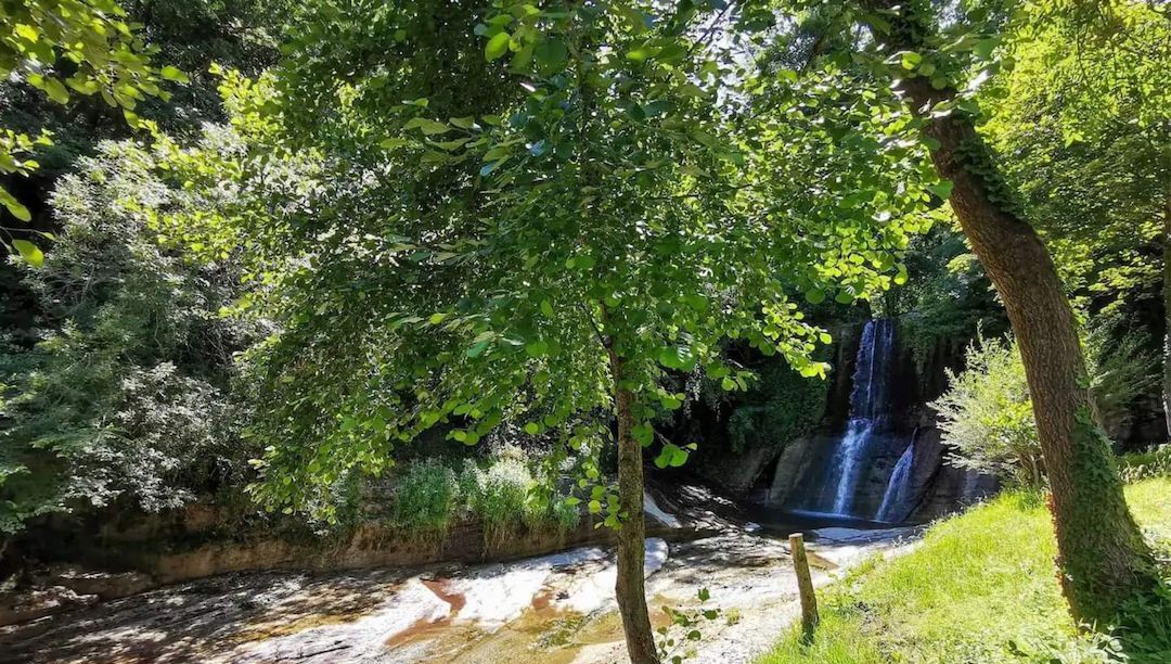 Un paysage naturel comprenant une cascade, une végétation luxuriante et un ruisseau aux eaux claires.