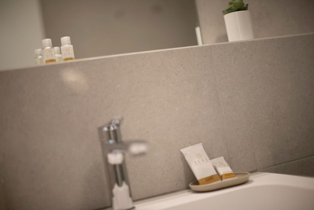 A bathroom with a white sink, a mirror, and a small plant on the wall.