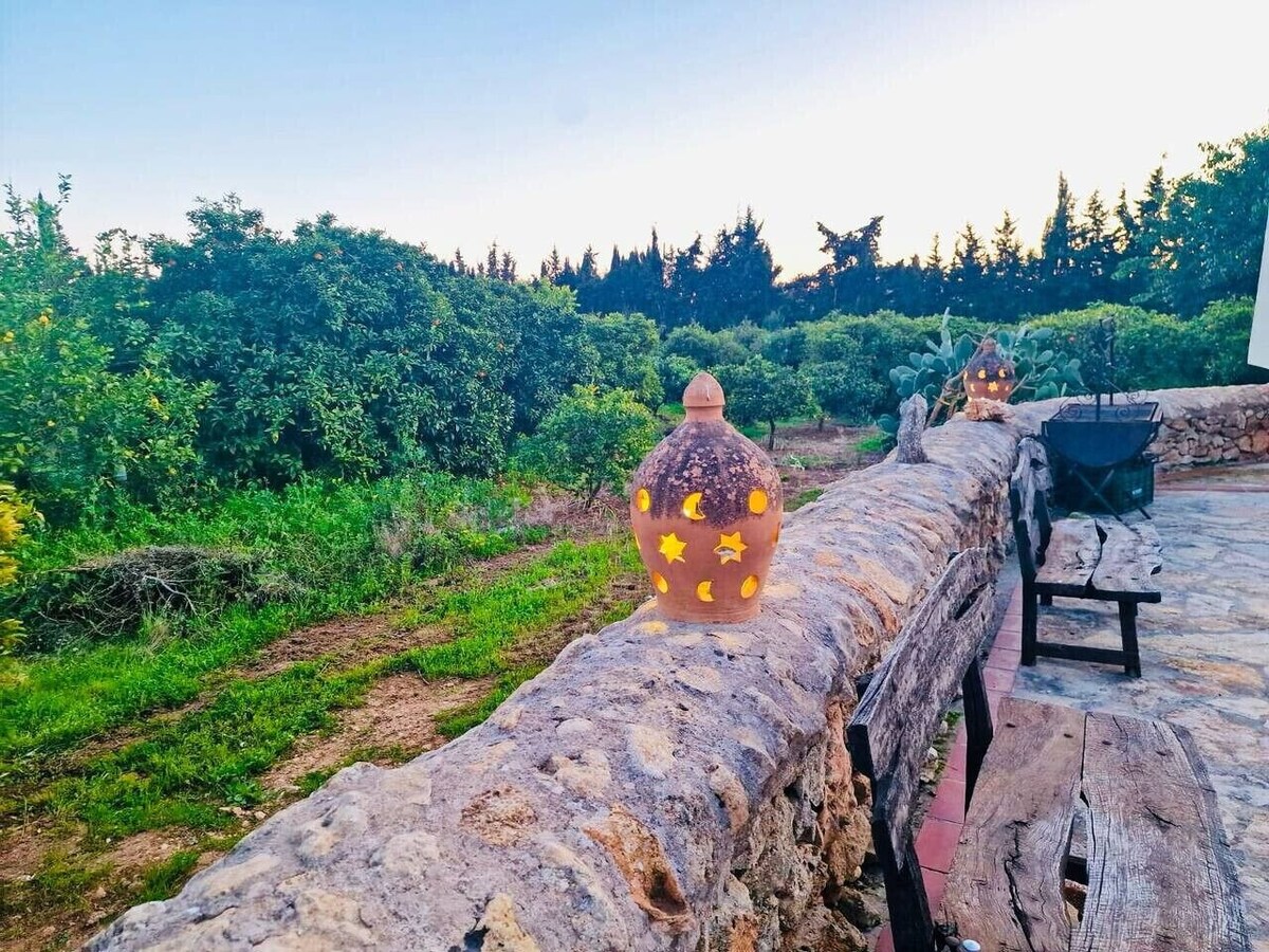 Imagen de perfil del propietario o de la propietaria