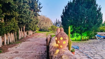 Terrein van de accommodatie