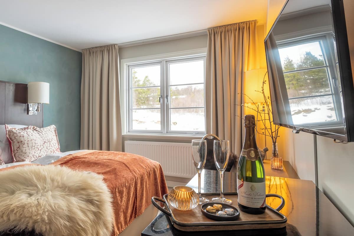 Et hotelværelse med seng, fjernsyn, et vindue med gardiner, en flaske champagne og et fad med glas og snacks.