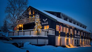 A hotel with a snow-covered roof and a Christmas tree in front.