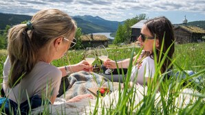 Two people sitting on a blanket outdoors, holding wine glasses.