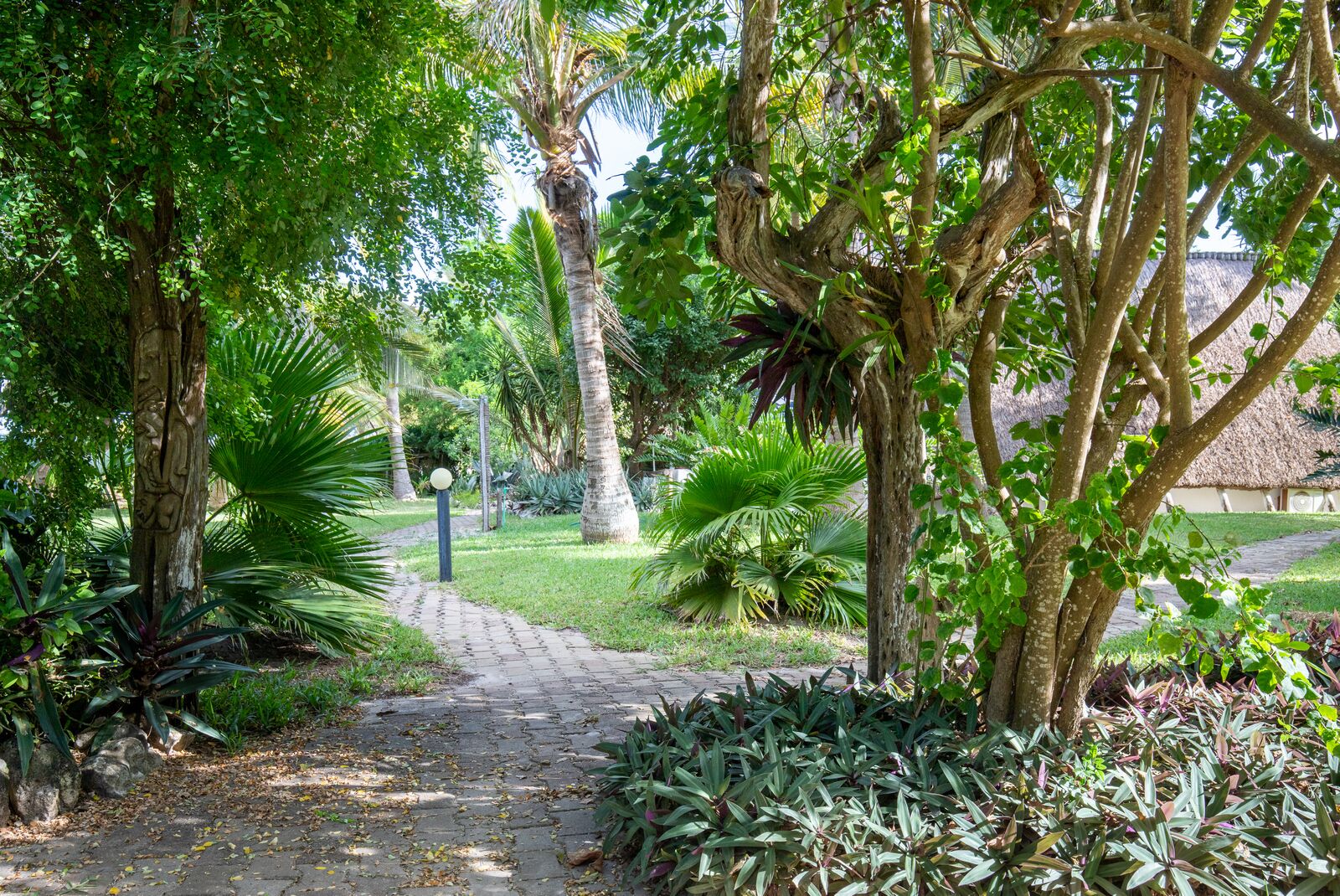 Jardin