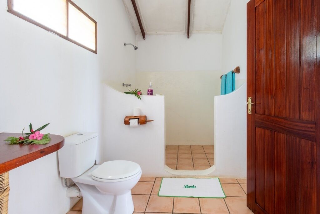 A bathroom with a toilet, shower, and a wooden door.