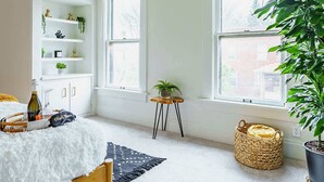 Ein Schlafzimmer mit einem Bett, einem Deckenventilator, einem Fenster, einem Regal mit Pflanzen und einer großen Topfpflanze.