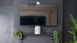 Ein modernes Wohnzimmer mit Kamin, einem flachbildfernseher darüber und je einer Kübelpflanze auf jeder Seite.