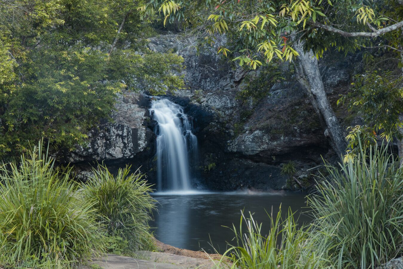 Kondalilla Falls - Flaxton
