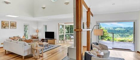 TV connectée, cheminée, livres, chaîne hi-fi