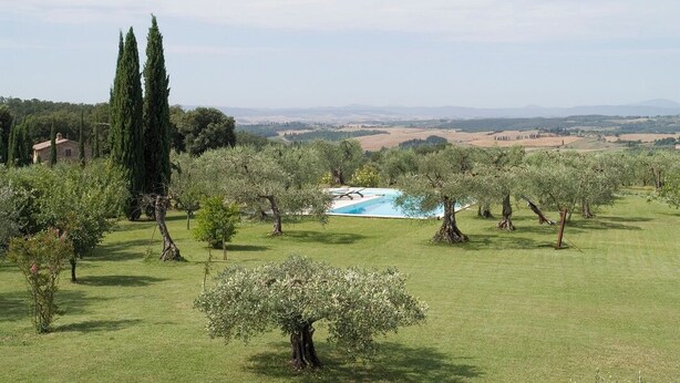 Paesaggio verde e rigoglioso con piscina circondata da ulivi e vista sulle colline in lontananza.