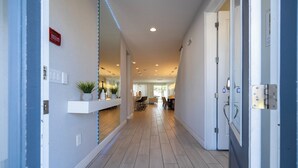 A hallway with a light wooden floor, white walls, and a ceiling with recessed lighting. There are doors on the right and a plant on the left.