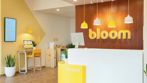 Zona de recepción con pared de madera, mostrador blanco, sillas amarillas y una computadora sobre el mostrador.