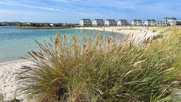 A beach with clear water, grassy dunes, and white buildings in the background. - Penthouse Olpenitz Living - Sea View, Sauna, Elevator, Underground Parking Space (Olpenitz)