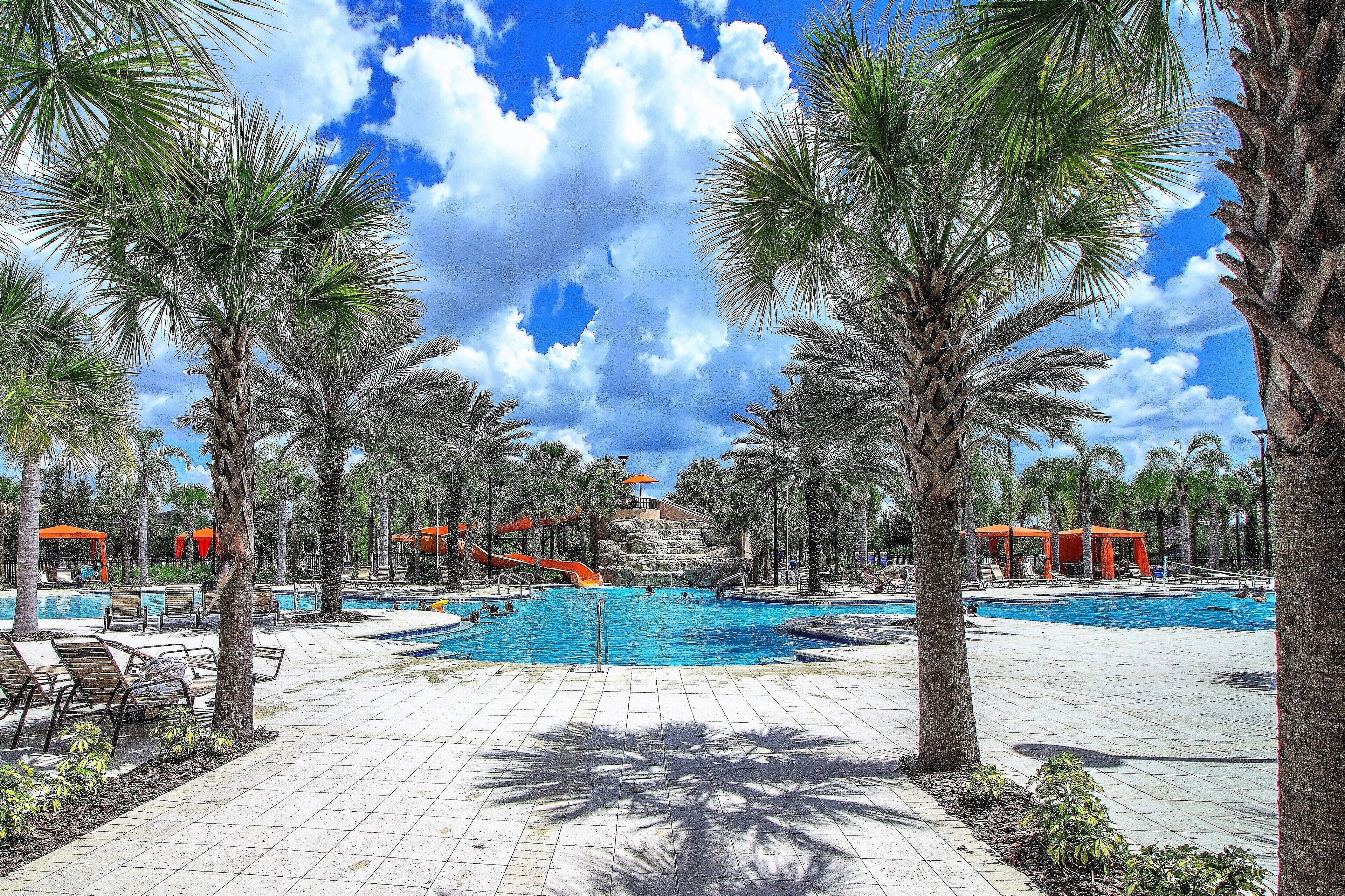 A pool area with palm trees, lounge chairs, and a clear sky.