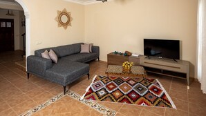 A living room with a grey sofa, a TV on a stand, a patterned rug, and a decorative wall piece.
