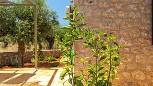 A stone building with a pergola and olive trees in the background.