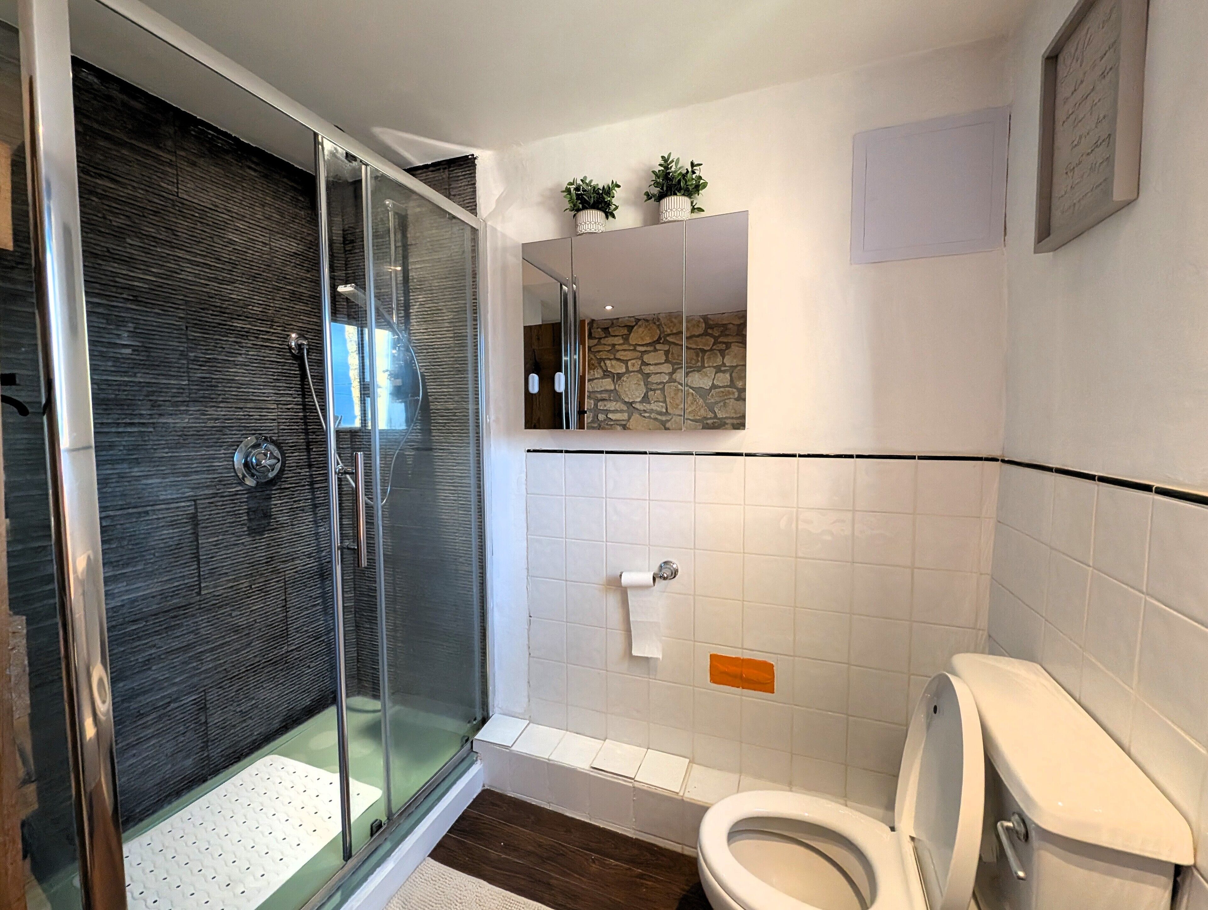 Een moderne badkamer met een douchecabine van glas, een toilet en een klein plankje met planten.